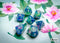 Chessex Dice Menagerie 10 Poly Festive Waterlily/White (7)