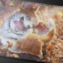Magic the Gathering CCG: Modern Horizons 3 Holofoil Playmat Z