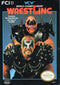 WCW Wrestling - Nintendo Entertainment System  NES Pre-Played