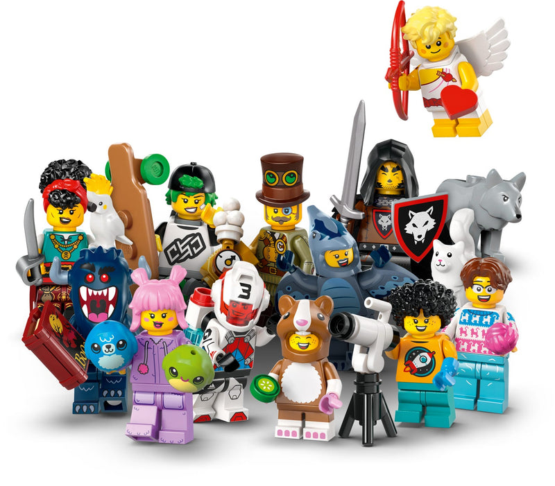 Lego Minifigures Individual Pack - Series 27 - 71048