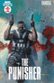 Marvel Knights: Punisher
