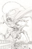 Marvel/DC: Spider-Man/Superman
