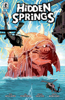 Hidden Springs