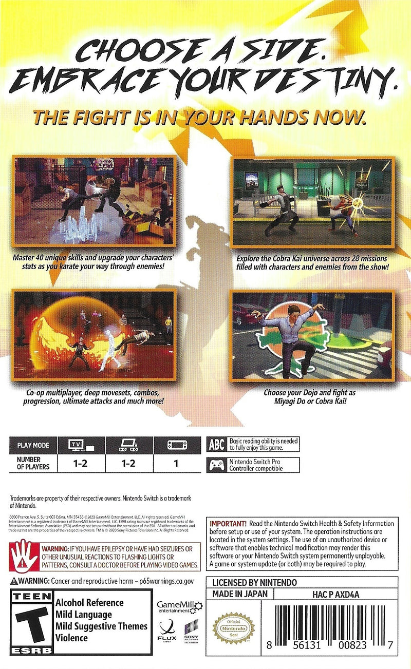 Cobra Kai The Karate Kid Saga Continues Nintendo Switch Pre