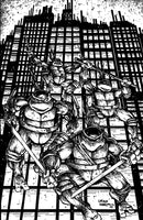 Teenage Mutant Ninja Turtles