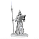 Vloriak (Despoiler Demon) & Demonologist - Pathfinder Battles Deep Cuts Unpainted Miniatures