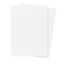 Eclipse Matte Standard Arctic White Sleeves (105)