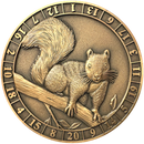 Dice Coins - d20 Squirrel Familiar