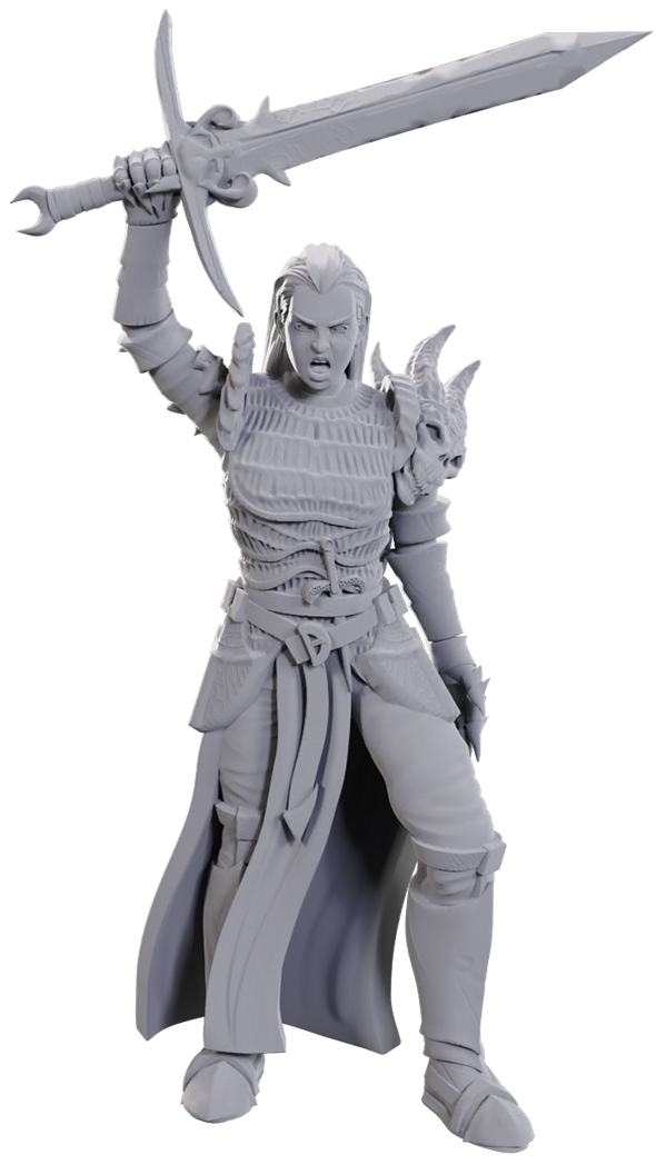 Blackguard W25 - Dungeons & Dragons Nolzur's Marvelous Unpainted Miniatures