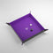 Black/Purple - Magnetic Square Dice Tray
