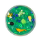 Swamp Water - Slime Charmers
