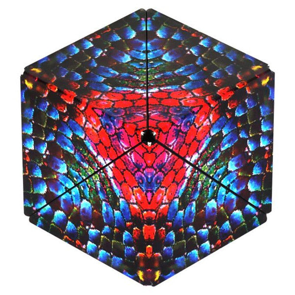 Shashibo - The Chameleon