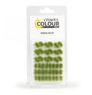Verdia Veldt - Citadel Colour Tufts
