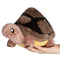 Tortoise - Mini Squishable