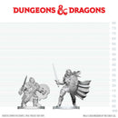 Dwarf Fighter & Orc Paladin W29 - Dungeons & Dragons Nolzur's Marvelous Unpainted Miniatures