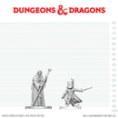 Cultist of Bhaal & Cultist of Myrkul W29 - Dungeons & Dragons Nolzur's Marvelous Unpainted Miniatures