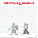 Black Gauntlet & Zhentilar Paladin of Bane W29 - Dungeons & Dragons Nolzur's Marvelous Unpainted Miniatures