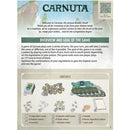 Carnuta