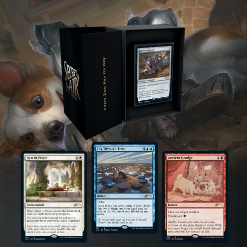 Magic the Gathering Secret Lair Every Dog Has Its Day Non-Foil