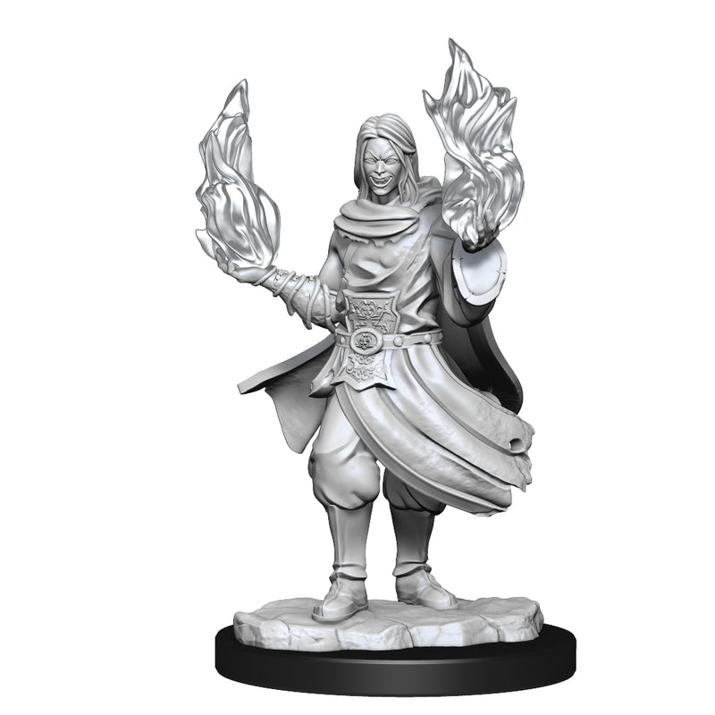 Hollow One Rogue and Sorceror Male W1 - Critical Role Unpainted Miniatures