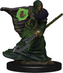 Elf Druid Male W5 Dungeons & Dragons Fantasy Miniatures Icons of the Realms Premium Figure