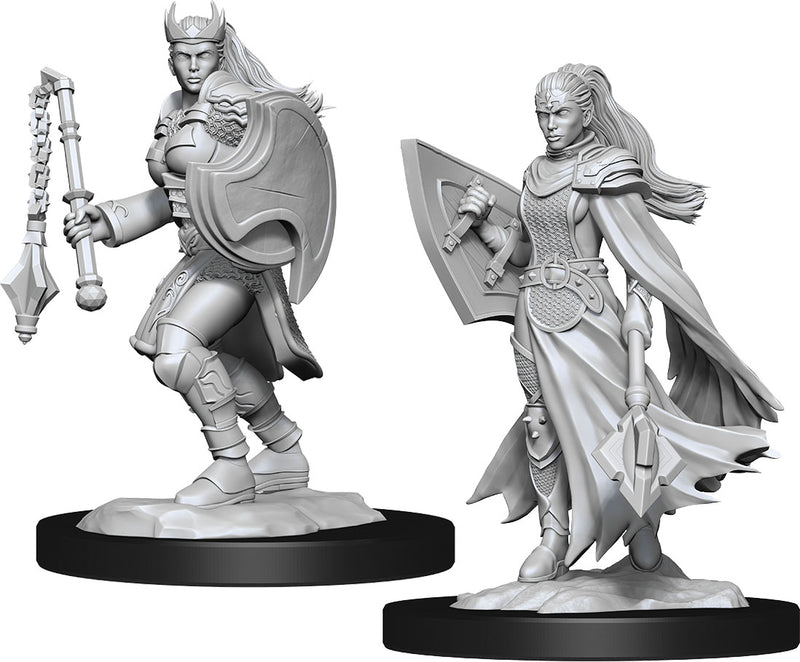 Kalashtar Cleric Female W14 - Dungeons & Dragons Nolzur's Marvelous Unpainted Miniatures