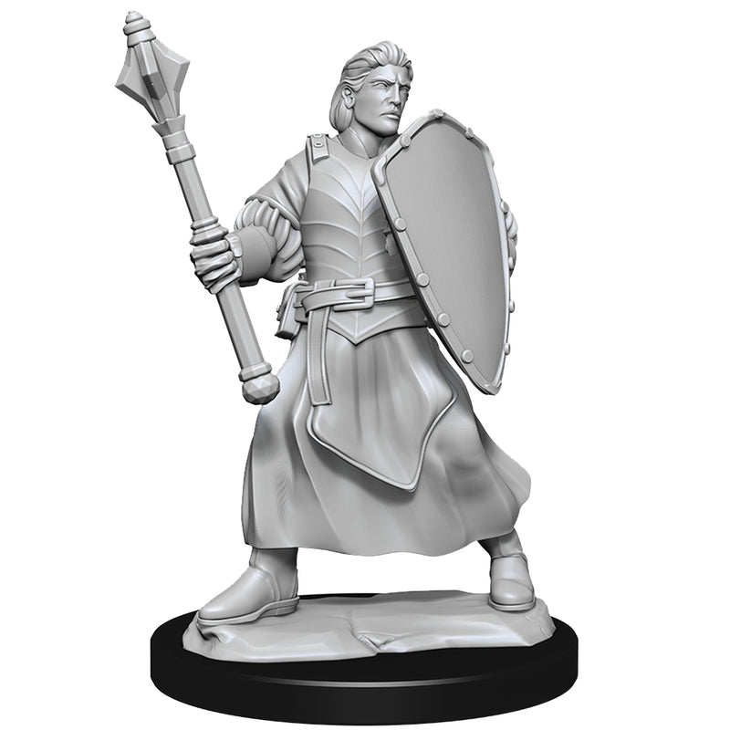 Human Clovis Concord Cleric Male W1 - Critical Role Unpainted Miniatures