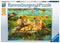 Lions in the Savanna 500 Piece Puzzle
