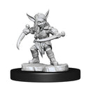 Goblin Sorceror and Rogue Female W1 - Critical Role Unpainted Miniatures