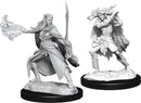 Winter Eladrin & Spring Eladrin W15 - Dungeons & Dragons Nolzur`s Marvelous Unpainted Miniatures