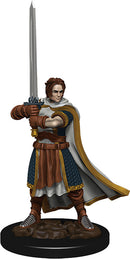 Dungeons & Dragons: Icons of the Realms Premium Figures W4 - Human Cleric Male