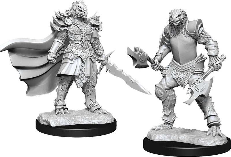 Dragonborn Fighter Female W15 - Dungeons & Dragons Nolzur`s Marvelous Unpainted Miniatures