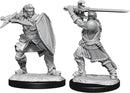 Human Paladin Male W14 - Dungeons & Dragons Nolzur's Marvelous Unpainted Miniatures