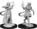 Tiefling Sorcerer Female W15 - Dungeons & Dragons Nolzur`s Marvelous Unpainted Miniatures