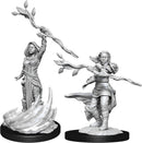 Human Druid Female W14 - Dungeons & Dragons Nolzur's Marvelous Unpainted Miniatures