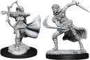 Air Genasi Female W15 - Dungeons & Dragons Nolzur`s Marvelous Unpainted Miniatures