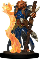 Dungeons & Dragons: Icons of the Realms Premium Figures W4 - Dragonborn Sorcerer Female