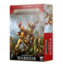 Warhammer Age of Sigmar Warrior Starter Set