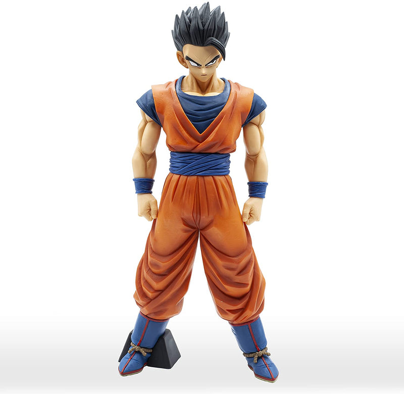 Resolution of Soldiers Son Gohan