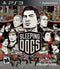 Sleeping Dogs Front Cover - Playstation 3 Pre-Played