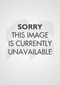 Suicide Squad Harley Quinn Action Figure