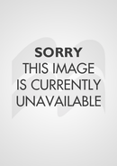 Citadel M Layer Paintbrush