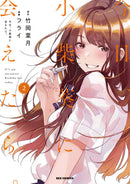 CHASING AFTER AOI KOSHIBA GRAPHIC NOVEL VOLUME 2