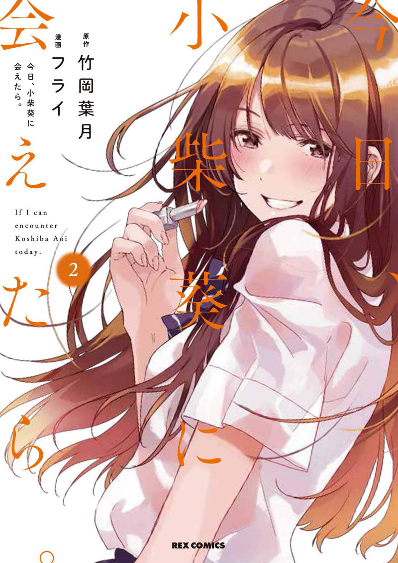 CHASING AFTER AOI KOSHIBA GRAPHIC NOVEL VOLUME 2