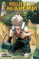 MY HERO ACADEMIA GRAPHIC NOVEL VOLUME 29