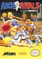 Arch Rivals Front Cover - Nintendo Entertainment System, NES Pre-Played