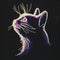 Glow in the Dark Dice Bag - Dark Cat