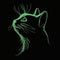Glow in the Dark Dice Bag - Dark Cat