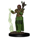 Dungeons & Dragons: Icons of the Realms Premium Figure - Human Female Druid