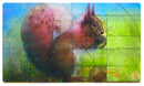 Terese Nielsen Fibonacci Squirrel Playmat